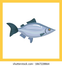 Set salmon vector illustration. Fillet, steak and fish salmon in cartoon style. Seafood product design.Seafood products set with salmon steak shrimp prawns fish crab isolated illustration