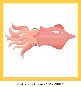 Legen Sie Lachs, Vektorgrafik. Filet, Steak und Fischlachs im Cartoon-Stil. Produktdesign für Meeresfrüchte.Meeresfrüchte-Produkte mit Lachs-Steak-Garnelen Fischkrabbe einzeln auf Illustration