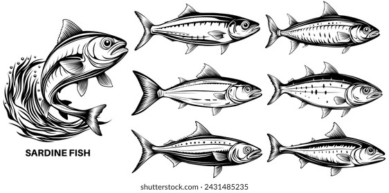 set sardine fish icon logo design vector illustration