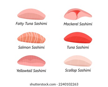Conjunto de ilustraciones vectoriales de sashimi aisladas en fondo blanco. Piezas firmadas de pescado crudo. Atún, salmón, cola amarilla, caballa y vieiras. Para menú, aplicación, web 