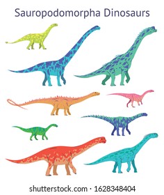 Set of sauropodomorpha dinosaurs. Colorful vector illustration of dinosaurs isolated on white background. Side view. Sauropods. Proportional dimensions. Element for your desing, blog, journal.