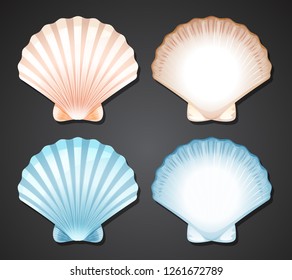 Set of scallop seashell illustration