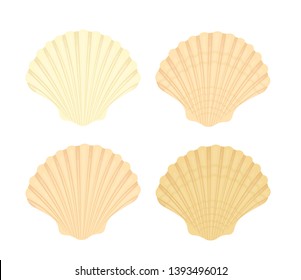 Set of scallop seashells isolated on white background.