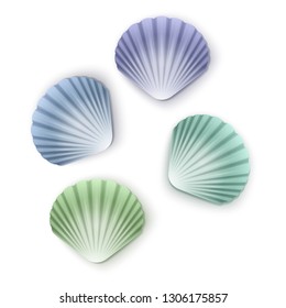 Set of scallop seashells, Vector seashells of cartoon style, illustration isolated on white background