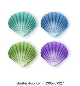 Set of scallop seashells. Vector seashells of cartoon style, illustration isolated on white background