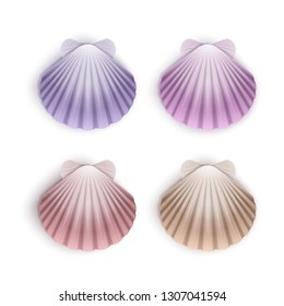 Set of scallop seashells. Vector seashells of cartoon style, illustration isolated on white background