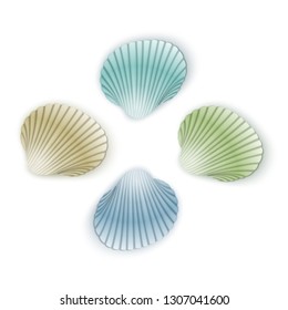 Set of scallop seashells. Vector seashells of cartoon style, illustration isolated on white background