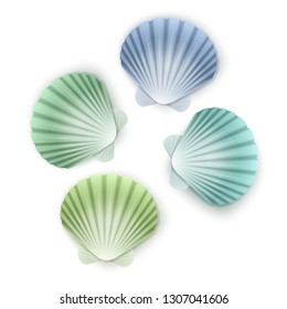 Set of scallop seashells. Vector seashells of cartoon style, illustration isolated on white background