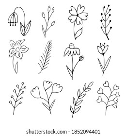 Set of scandi floral elements hand-drawn.  Doodle vector illustration for greeting cards, wedding designs and logos.