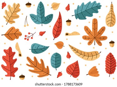 Set of scandinavian colorful autumn leaves, acorns and berries. Isolated on white background. Autumn leaves set or collection. Simple childish cartoon flat style. vector illustration