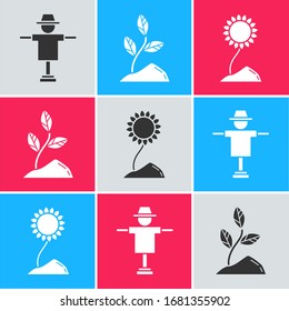 Set Scarecrow, Sprout and Sunflower icon. Vector