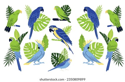 Set of Scarlet macaw parrots. Macaws sit and walk on the branches, fly and clean their feathers. Realistic Vector South American and Caribbean Jungle Birds