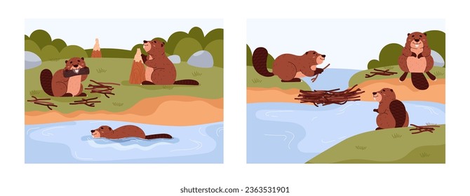 Set of scenes with cute beavers flat stye, vector illustration isolated on white background. Nature and wildlife, swimming animals gnaw tree. Funny animals with big teeth and tails