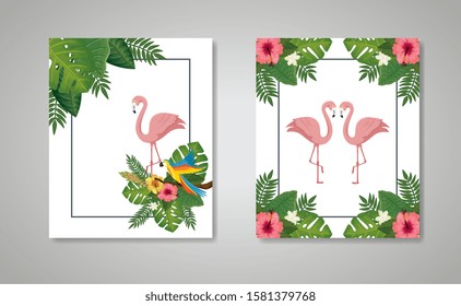set scenes of flamingos pink animals with leafs nature vector illustration design