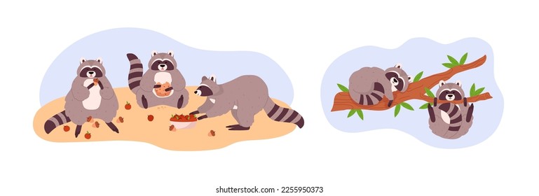 Conjunto de escenas con divertidos animales de mapache de estilo plano, ilustración vectorial aislada en fondo blanco. Racconos pequeños comiendo manzanas, nueces y galletas, jugando en rama de árbol