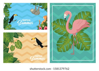 set scenes of tropical summer poster with animals exotics vector illustration design