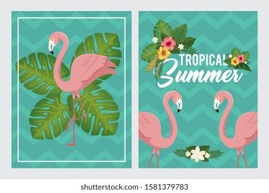 set scenes of tropical summer poster with flamingos and flowers vector illustration design