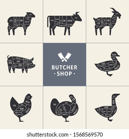 Set a schematic view of animals for the butcher shop. Cow and pork, cattle and pig, chicken and lamb, beef and rabbit, duck and swine, goose and turkey, meat illustration. Vector meat cuts.