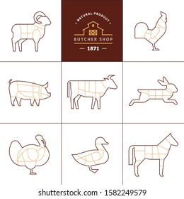 Set a schematic view of animals for the butcher shop. Meat illustration. Vector meat cuts.