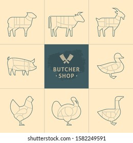 Set a schematic view of animals for the butcher shop. Meat illustration. Vector meat cuts.