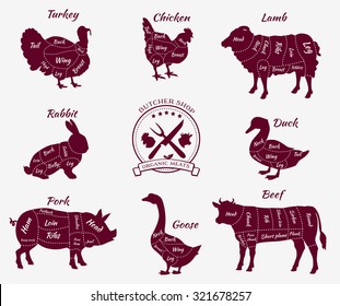 Set a schematic view of animals for butcher shop. Cow and pork, cattle and pig, chicken and lamb, beef and rabbit, duck and swine, goose and turkey, meat illustration