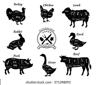 Set a schematic view of animals for butcher shop. Cow and pork, cattle and pig, chicken and lamb, beef and rabbit, duck and swine, goose and turkey, meat illustration. Vector meat cuts