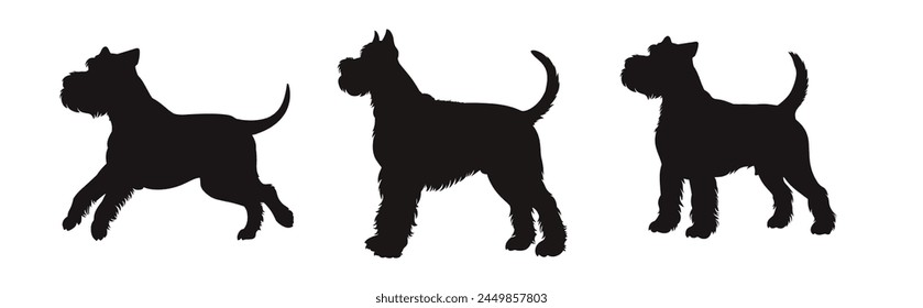 Set of schnauzer silhouette, dog silhouette - vector illustration	