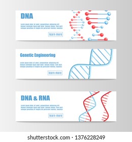 Satz wissenschaftlicher Banner mit molekularer Struktur der DNA- und RNA-Vektorillustration, einzeln auf weißem Hintergrund. Vorlagen für Medizin- oder Gentechnologie.