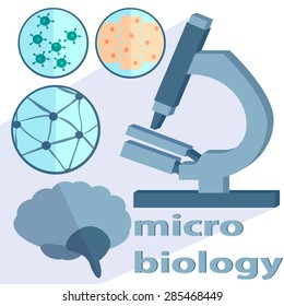 Set of scientific subjects for Microbiology and neurobiology Petri dishes, microscope, brain into flat style. vector illustration