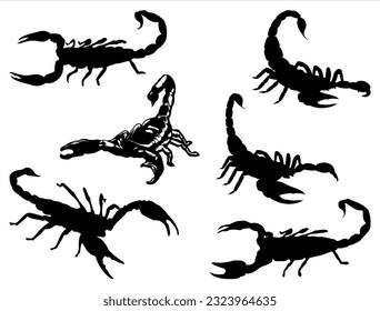 Set of Scorpion Silhouette Vector Art on White Background svg