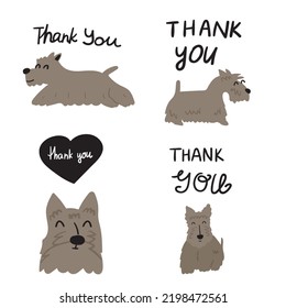Set Scottish Terriers and  phrase    Thank you  Hand drawn vector illustrations 