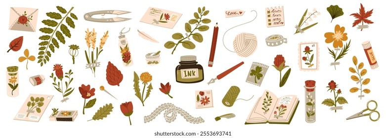 set of scrapbooking, herbarium. Tools, materials for handwork, needlework and creative hobbies. Flowers, leaves, seeds, scotch tape, ink, scissors, paper, book, envelope and more. flat collection