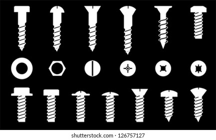 Set of screws, vector