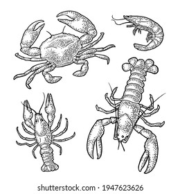 Set sea animal crustacean. Lobster, crab, crayfish, shrimp. Vector monochrome engraving vintage illustrations isolated on white background. Hand drawn design element for label and menu