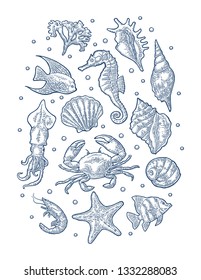 Set sea animal. Shell, cuttlefish, oyster, crab, shrimp, seaweed, fish. Vector monochrome engraving vintage illustrations isolated on white background