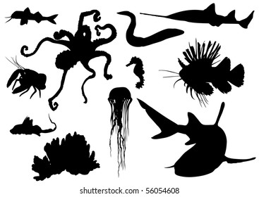 set of sea animals