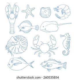 Set of sea animals. Blue vector background. Fish.