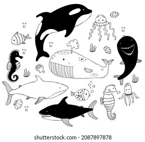 Set of sea animals. Cute big whale killer whale and shark, seahorse and dolphin, jellyfish and squid, fish and shells. Vector outline illustrations in hand-drawing linear doodles for design and decor
