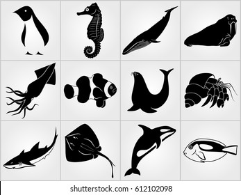Set of Sea Animals icons. Penguin, Stingray, Sea lion, Grampus, Shark, Whale, Squid, Clownfish, Walrus, Hermit Crab, Tang Fish and Seahorse icons