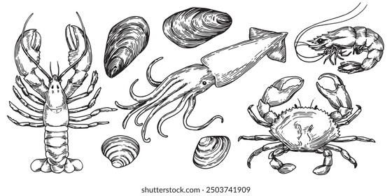 Set mit Meerestieren, Illustration im Skizzenstil. Hummer, Krabbe, Kalmar, Garnelen, Muscheln. Vintage