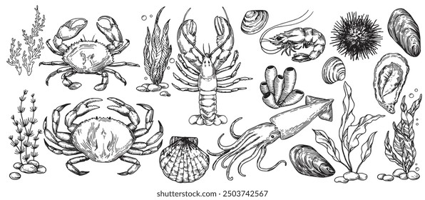 Set mit Meerestieren, Illustration im Skizzenstil. Hummer, Krabbe, Kalmar, Garnelen, Muscheln. Vintage