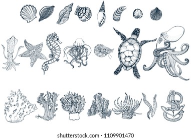 set of sea animals on white background, hand drawing, vector illustration, outline, octopus, coral, Actinia