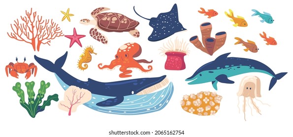 Set of Sea Animals and Plants, Isolated Seaweeds, Turtle, Whale and Slope, Jellyfish, Octopus or Dolphin with Sea Horse and Starfish Seafood and Fishery Ocean Creatures. Cartoon Vector Illustration