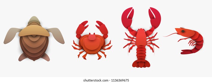 Set of sea animals in trendy paper cut craft graphic style. Turtle, lobster, shrimp, crab. Modern design for advertising, branding greeting card, cover, poster, banner. Vector illustration.