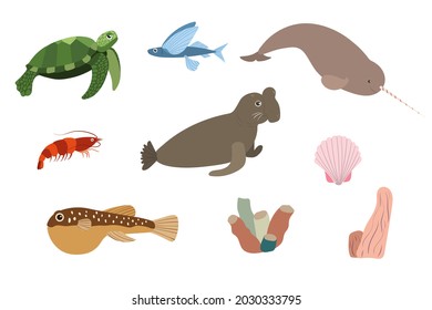 Set of sea animals - turtle narwhale elephant puffer fish shrimp. Undersea world habitants print. Hand drawn underwater life collection. Funny cartoon marine animals character for kid.