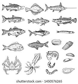 Set of sea animals. Vector cartoon illustrations. Isolated objects on a white background. Seafood. Hand-drawn style.