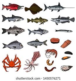 Set of sea animals. Vector cartoon illustrations. Isolated objects on a white background. Seafood. Hand-drawn style.