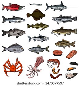 Set of sea animals. Vector cartoon illustrations. Isolated objects on a white background. Seafood. Hand-drawn style.