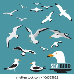 Set of Sea Bird and Seagull Vector