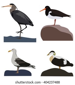 Set of sea birds, isolated vector